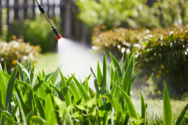 24/7 Emergency Wasp Removal experts in South Jacksonville, IL