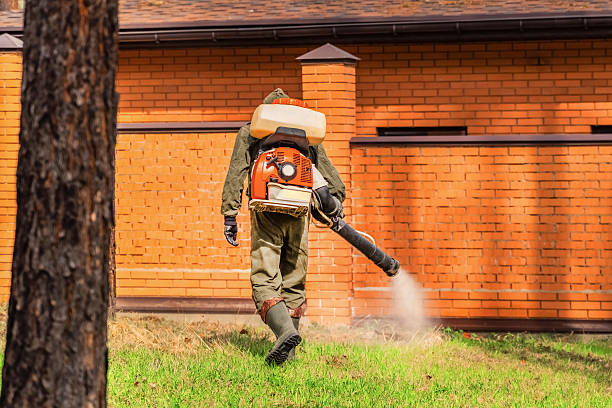 Top rated local Wasp Removal specialists in South Jacksonville, IL